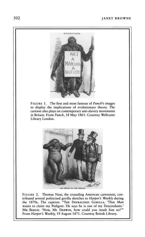 Darwin punch 18 may 1861 Darwin punch 18 may 1861