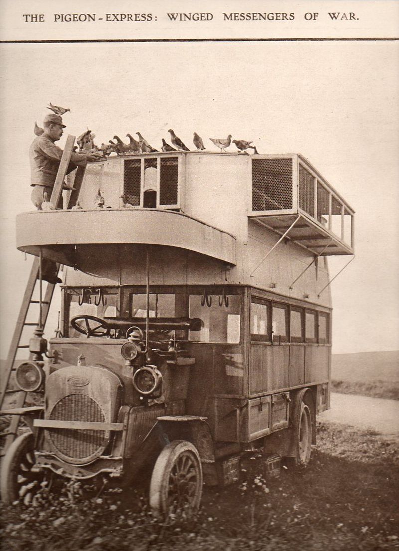 WWI--e---pigeon truck643