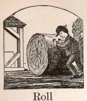 Alphabet germ--roll293