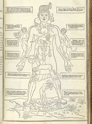 Human map ketham_p15