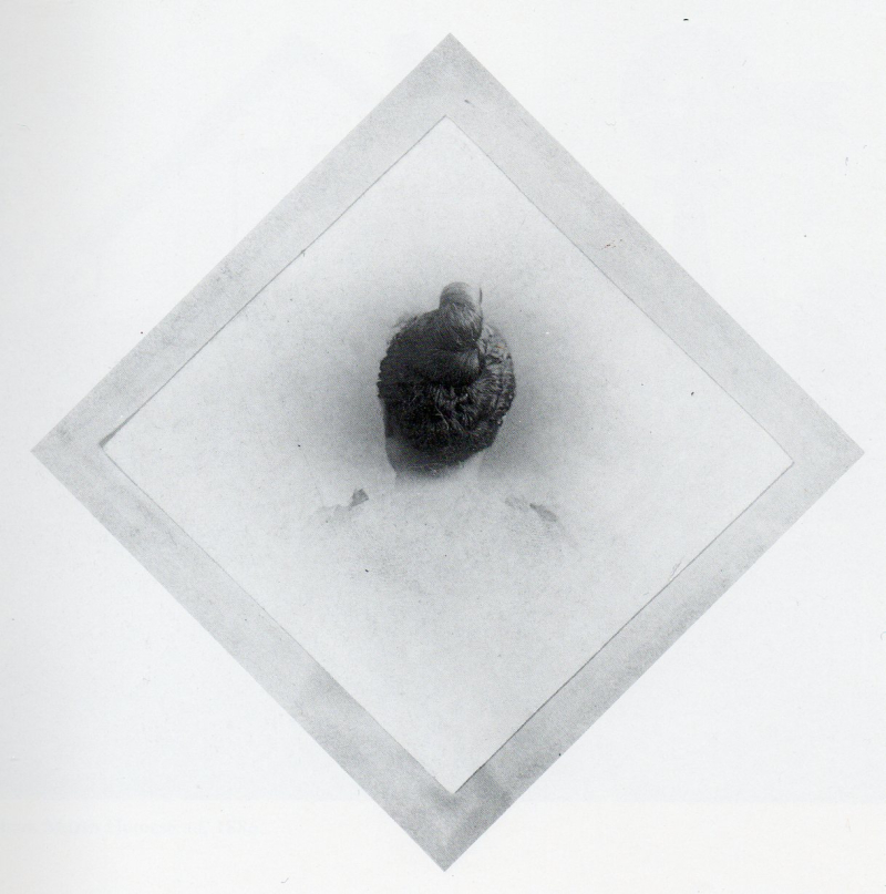 Back of head back342