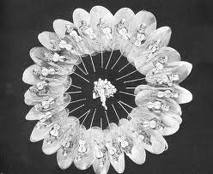 Berkeley c Berkeley c