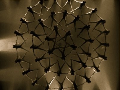 Berkeley h Berkeley h