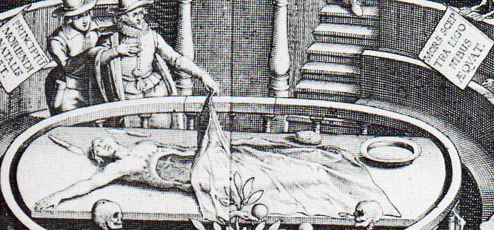 Adam skeleton cadaver393