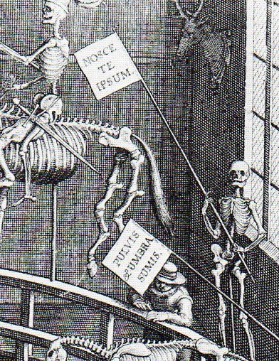 Adam skeleton signs391