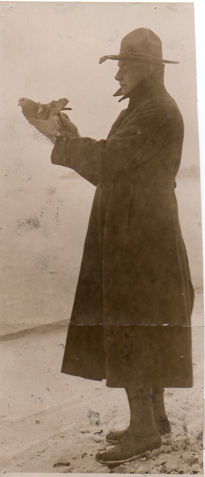 WWI--pigeonc717