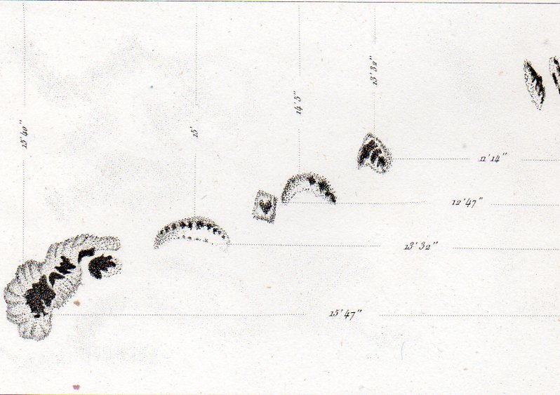 Astro mictroscope--pre-biotic b933