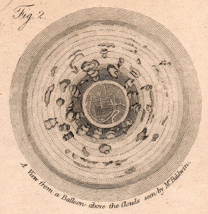 Looking str8t Diwn-balloom det220