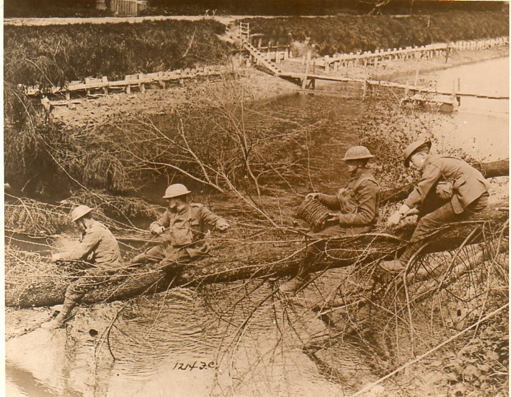WWI photos--blowing up trees364 WWI photos--blowing up trees364