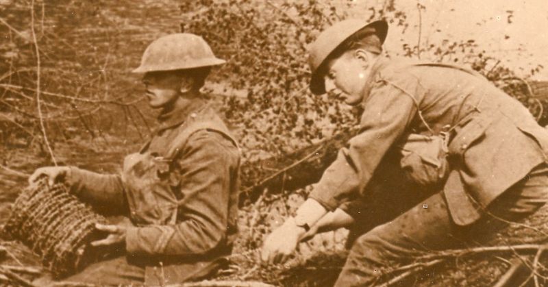 WWI photos--blowing up trees366 WWI photos--blowing up trees366