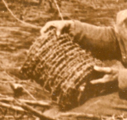 WWI photos--blowing up trees368 WWI photos--blowing up trees368