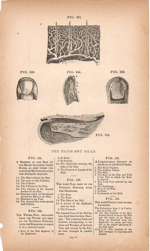 Dadaist senses touch500 Dadaist senses touch500