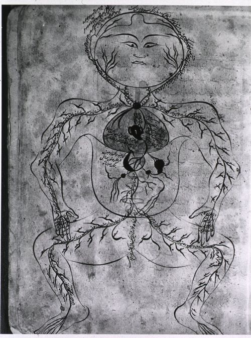 NLMNLM~1~1~101435831~140121