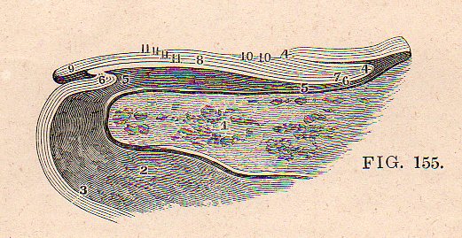 Dadaist senses touch det501 Dadaist senses touch det501