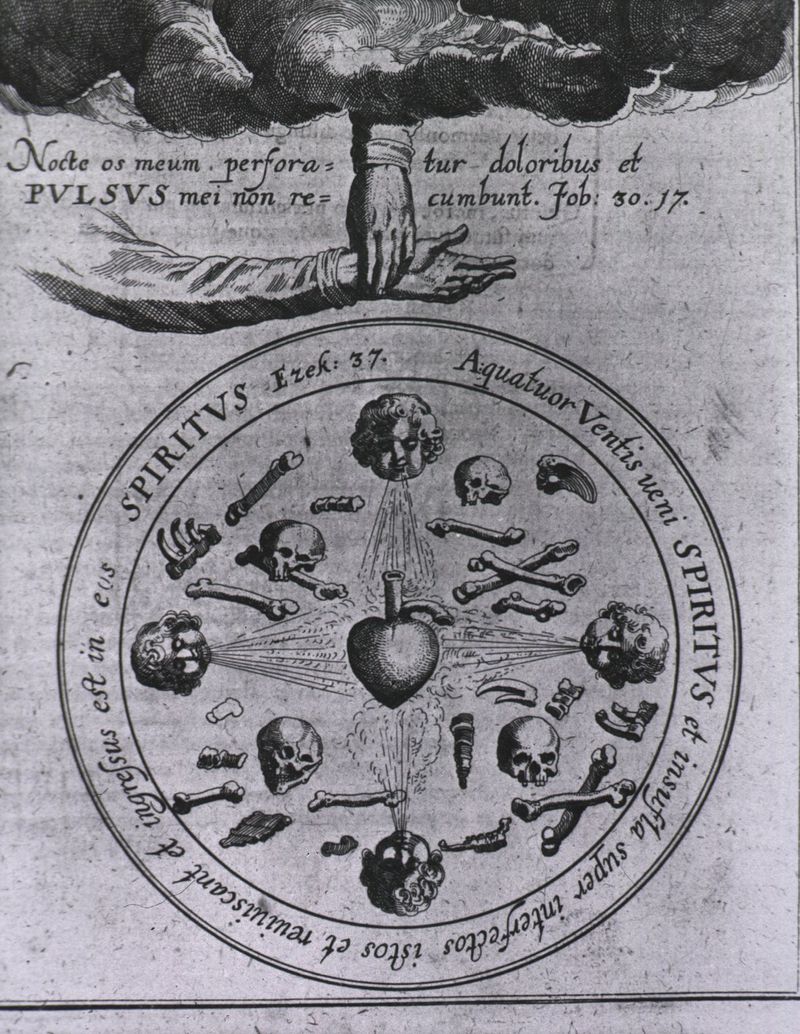 NLMNLM~1~1~101448090~156561