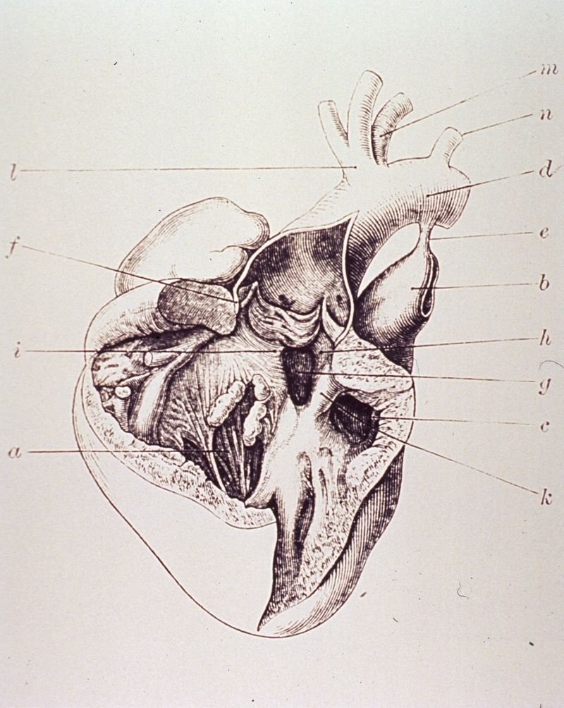 NLMNLM~1~1~101449068~157150