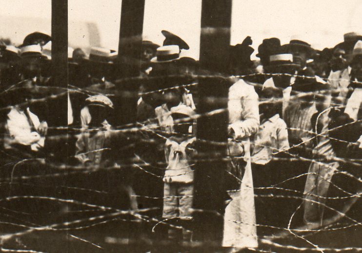 WWI barf wire cutter181