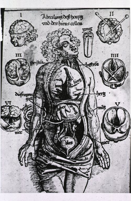 NLMNLM~1~1~101435106~139414