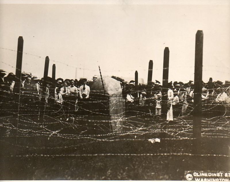 WWI barf wire cutter179