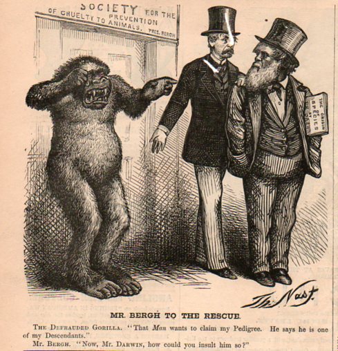 Darwin cartoon bergh294 Darwin cartoon bergh294