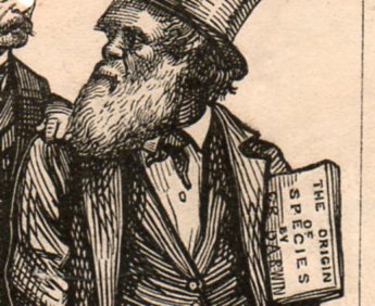 Darwin cartoon bergh295 Darwin cartoon bergh295