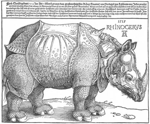 Dürer_rhino_full