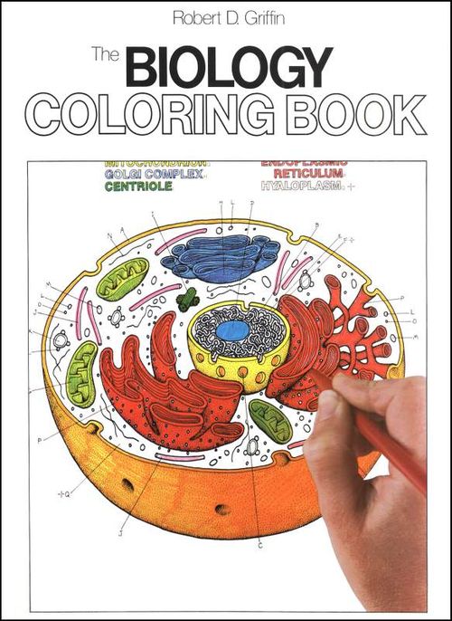 Coloring book anatomy b Coloring book anatomy b