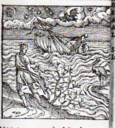 Plantinb 1567906 Plantinb 1567906