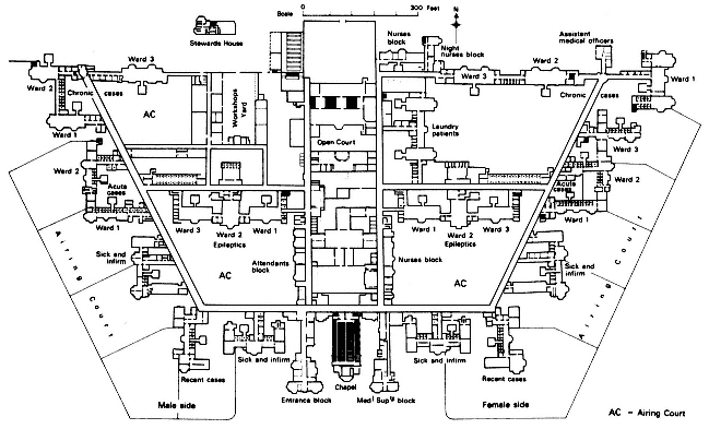 Lunatic claybury county