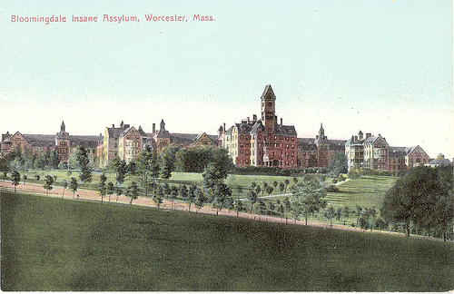 Lunatic bloomingdale