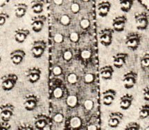 Sky strange hildegard493