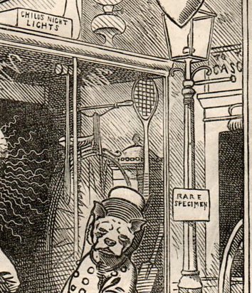 Edison electric621 bike