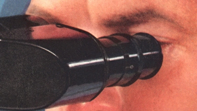 Ciggies--eyes w microscope det