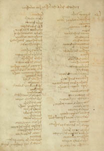 Leonardo library Leonardo library