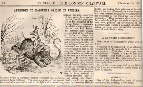 Darwin elephant392 Darwin elephant392