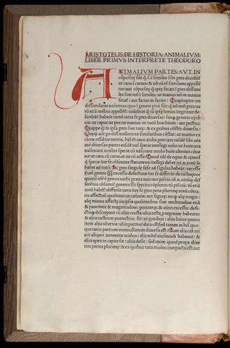 Aristotle-1476-rubricated