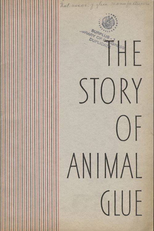 + story anim glu + story anim glu