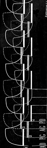 Marey paces o fhorse vertical