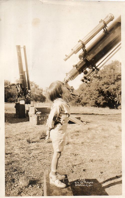 WWI--Doggie photo detail029 WWI--Doggie photo detail029