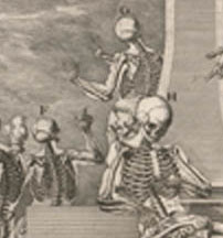 Anatomy Crisostomo_martinez-atlas detail_edited-1 Anatomy Crisostomo_martinez-atlas detail_edited-1