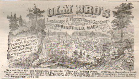 Want ads corn horizon924