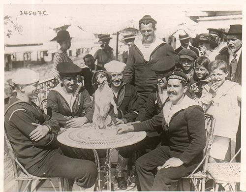 WWI--Doggie photo025 WWI--Doggie photo025