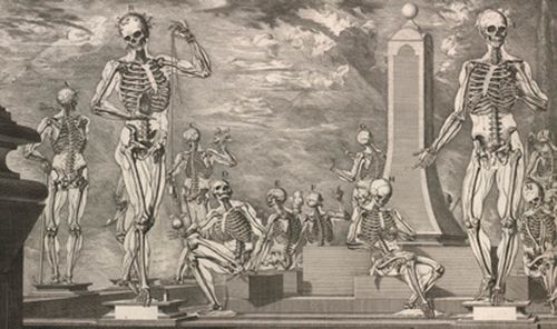 Anatomy Crisostomo_martinez-atlas detail Anatomy Crisostomo_martinez-atlas detail