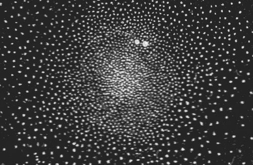 Astronomy--47 tuc big detail