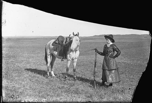 Butcher sadie austin Butcher sadie austin