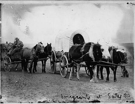 Butcher immigrants Butcher immigrants