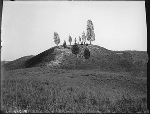 Butcher lookout Butcher lookout