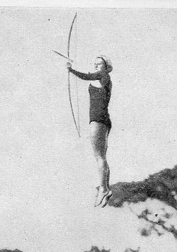 Dr odd diving arrows048