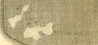 Reaumur close-up det Reaumur close-up det