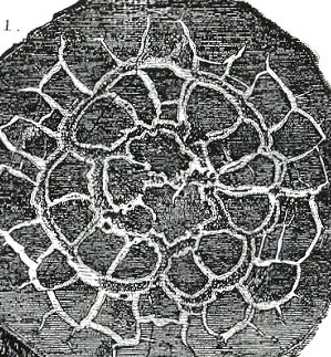 Hutton rock city detail